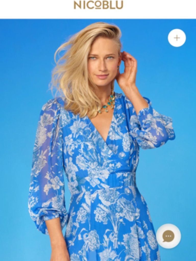 Nicoblu Nwt Angelina Maxi Chiffon Dress Blue And White Floral Toile 16 — image 2 of 5